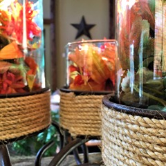 gallery/thumbworks30